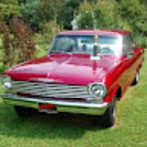 Meet your Posher, William